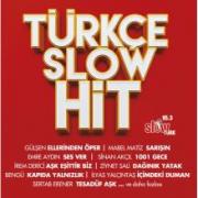 Türkçe Slow Hit(2 CD Birarada)Gülşen, Mustafa Ceceli, Funda Arar, Emre Aydın