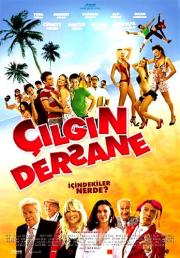 Cilgin Dersane (DVD)