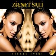 Herkes EvineZiynet Sali (2 CD)